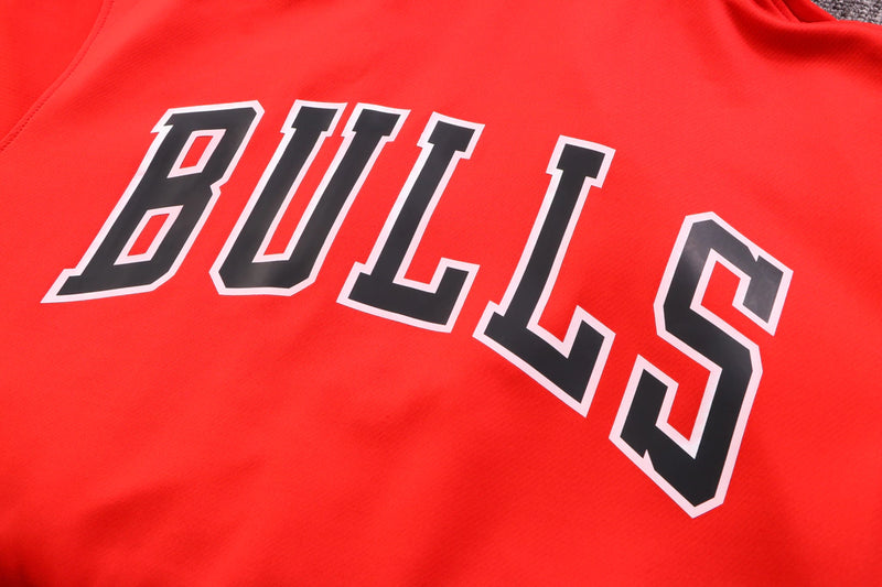 Conjunto NBA Chicago Bulls 75ers